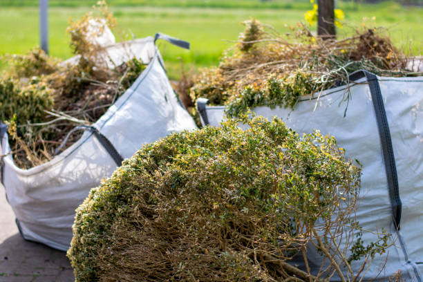 Best Full-Service Junk Removal  in Williamsport, PA