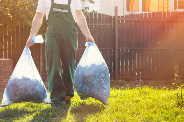 Best Local Junk Hauling  in Williamsport, PA